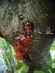 余额宝一年收益多少