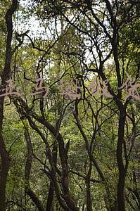 亚马逊假货和淘宝假货(假货杜绝不穷，亚马逊成“美版淘宝”，“中国卖家”又被甩锅？)