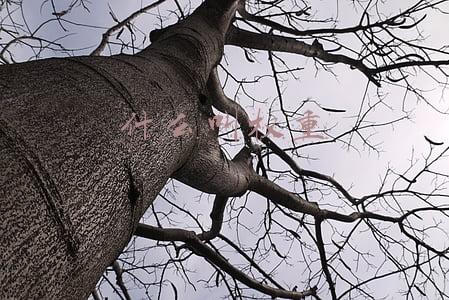 什么叫权重