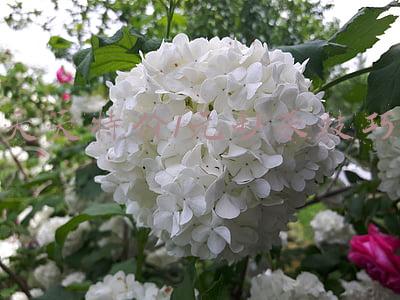 天天特价1元秒杀技巧