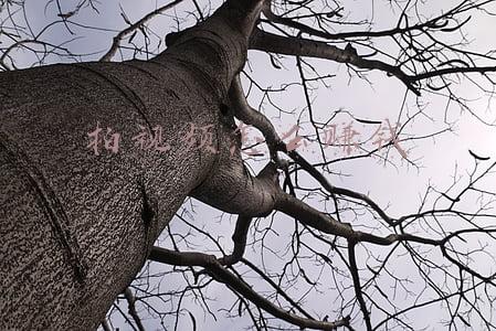 拍视频怎么赚钱