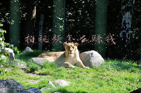 拍视频能赚多少钱(00后大学生靠拍视频月入70万，实现财务自由，但成功绝非偶然)