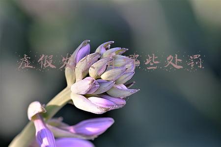 虚假发货有哪些处罚冻结账号(2019年淘宝虚假发货的处罚规则)