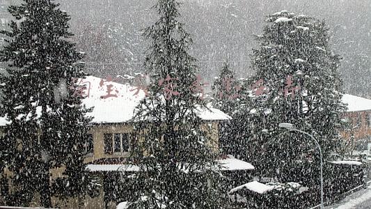 淘宝买家秀怎么弄的(淘宝基础运营——如何设置买家秀？)