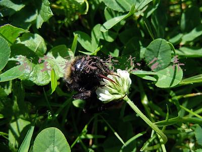 淘宝买家秀怎么弄到首页(如何让你的外卖店铺上首页？)