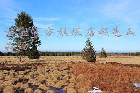 淘宝官方旗舰店都是正品吗