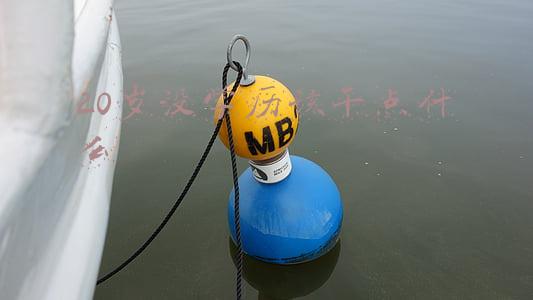 20岁没学历该干点什么工作(二十出头，没学历没阅历，对未来很迷茫不知道做什么，求出路？)