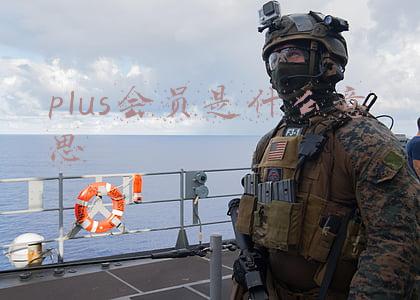 plus会员是什么意思