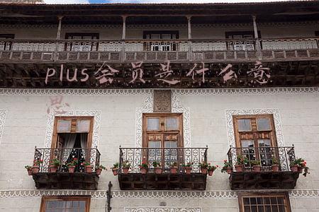 京东plus会员是什么意思(盘点京东PLUS会员的那些权益)