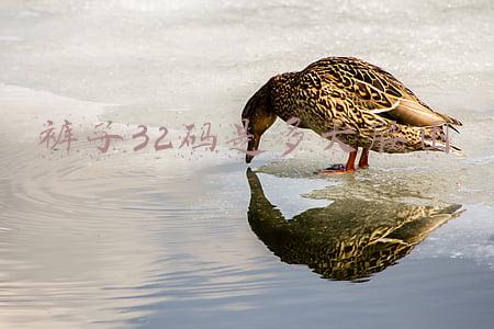 裤子32码是多大腰围
