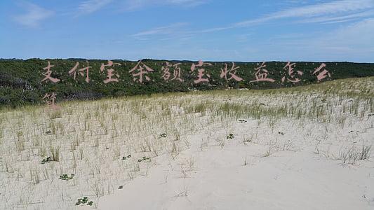 支付宝余额宝收益怎么算