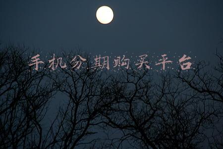 手机分期购买平台