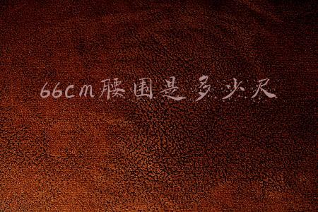 66cm腰围是多少尺
