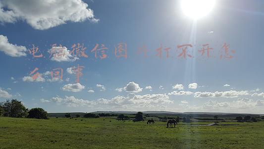 电脑微信图片打不开怎么回事