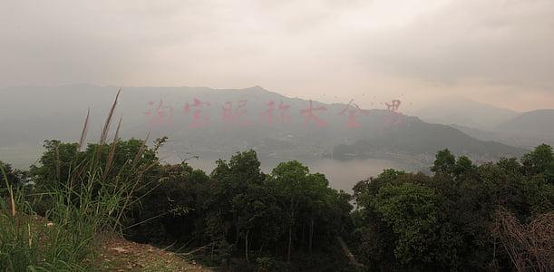 淘宝昵称大全男英文(年度热词知多少！2021年网络流行词终极盘点)