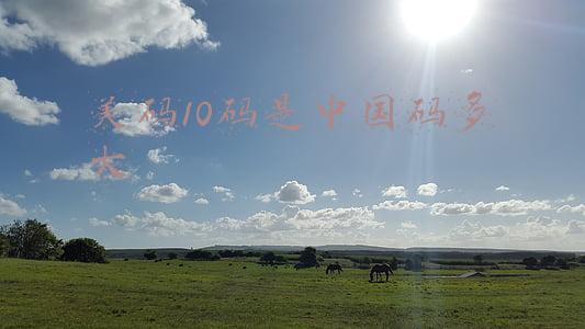 美码10码是中国码多大戒指(收藏！看完这篇推送再也不用为美甲发愁啦)