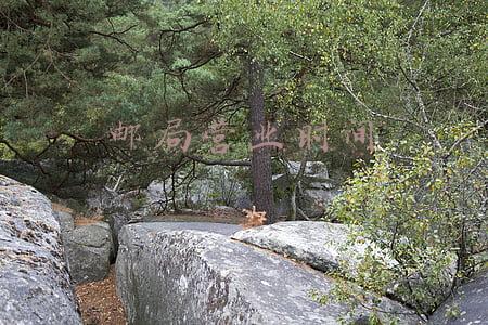 邮局营业时间