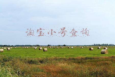 淘宝小号查询