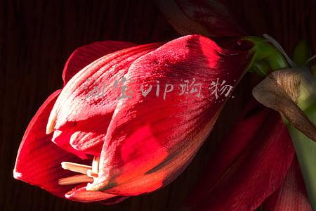 淘宝vip会员有用吗(淘宝会员有用吗？)