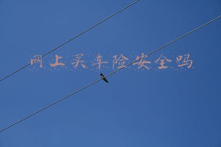 网上买车保险可靠吗安全吗(英国问卷调查：电动汽车不如燃油车可靠)