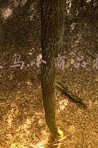 深圳义乌小商品批发城电话(事关校园疫情防控和在线教学，深圳最新部署来了)