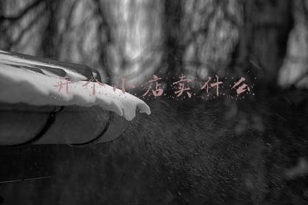 开个小店卖什么