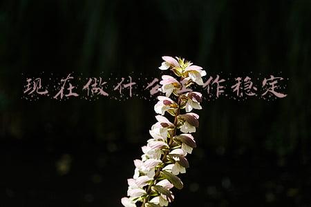 什么样的工作算是稳定工作(不担心被拖欠工资工作时间灵活，外卖员是份靠谱的工作)