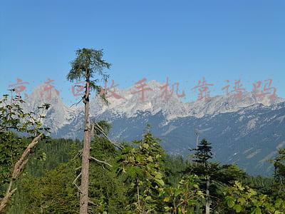 京东回收手机靠谱吗