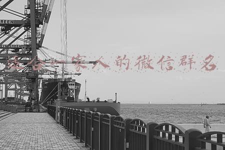 适合一家人的微信群名
