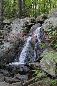 开家粮油店需要投资多少钱（开家粮油店要多少投资）