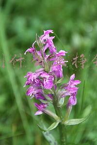 开复印店赚钱吗-开打印复印店赚钱吗