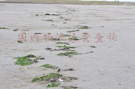 全国各地运费查询(快递小管家运费服务网快递运费计算：怎样快速做出寄件数据分析)