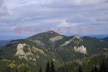 物流资费查询(运费最高翻5倍！2022年亚马逊物流费用一览，跨境电商卖家速看)