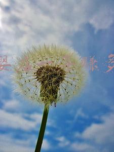开母婴店一年赚多少钱