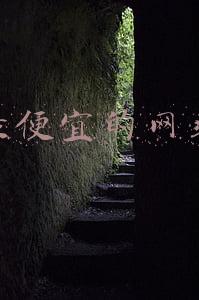 买车最便宜的网站(国内主流汽车资讯网站排名)