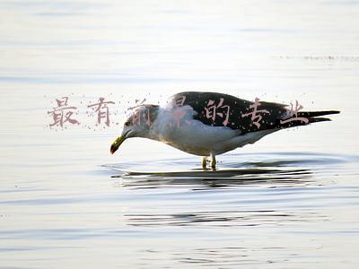 最有前景的专业