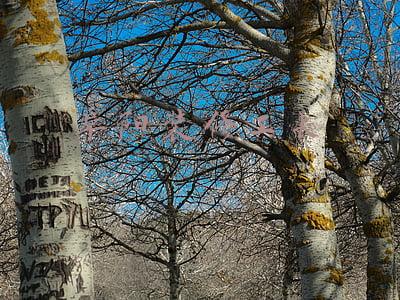 服装店一年赚多少钱怎么算（服装店一年赚多少钱）