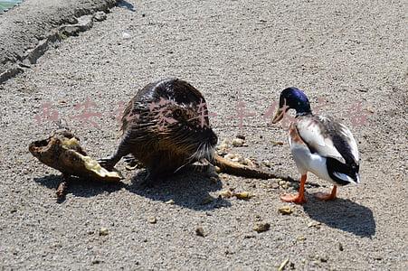 西安私家车车体广告