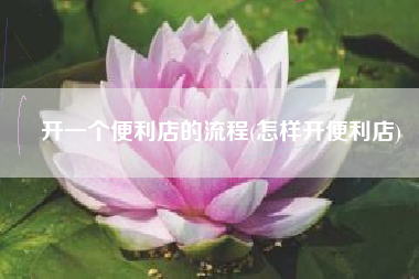 开一个便利店的流程(怎样开便利店)