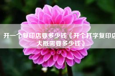开一个复印店要多少钱《开个打字复印店大概需要多少钱》