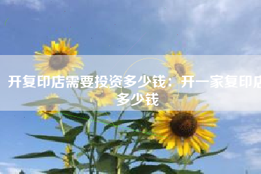 开复印店需要投资多少钱：开一家复印店多少钱