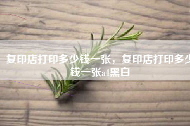 复印店打印多少钱一张,复印店打印多少钱一张a4黑白