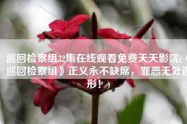 巡回检察组32集在线观看免费天天影院(《巡回检察组》正义永不缺席，罪恶无处遁形！)