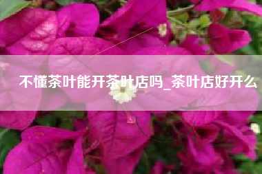 不懂茶叶能开茶叶店吗_茶叶店好开么