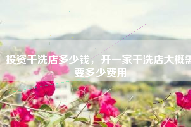 投资干洗店多少钱,开一家干洗店大概需要多少费用