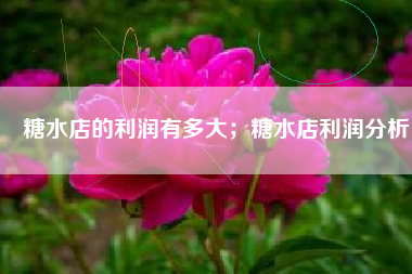 糖水店的利润有多大；糖水店利润分析
