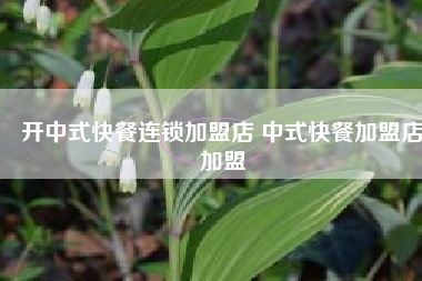 开中式快餐连锁加盟店 中式快餐加盟店加盟