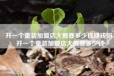 开一个童装加盟店大概要多少钱赚钱吗-开一个童装加盟店大概要多少钱