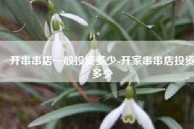 开串串店一般投资多少-开家串串店投资多少