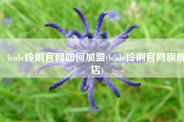 lenle伶俐官网如何加盟(lenle伶俐官网旗舰店)